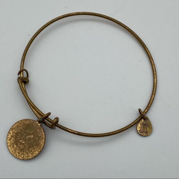 🍭6/$30 Alex & Ani Capricorn Charm Bracelet - Picture 4 of 5